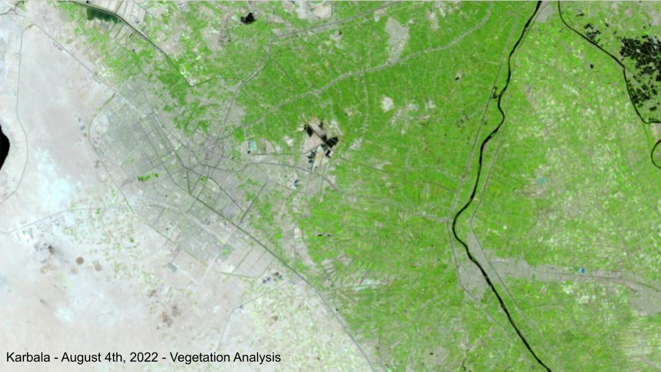 Iraq after deforestation