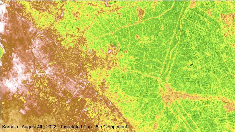 Iraq after deforestation